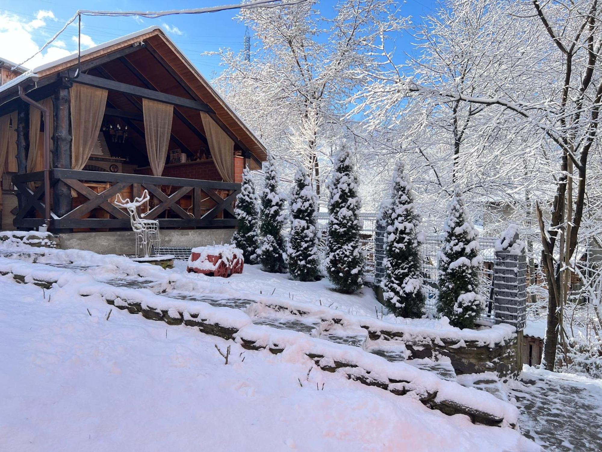 Pid Playem Villa Volovăţ Exterior foto