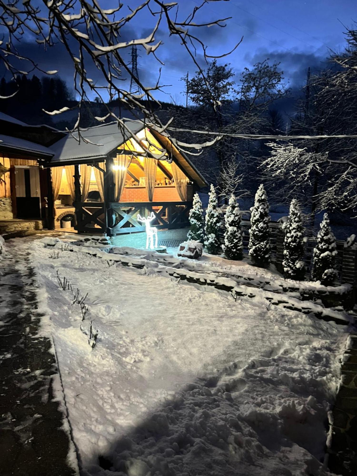 Pid Playem Villa Volovăţ Exterior foto