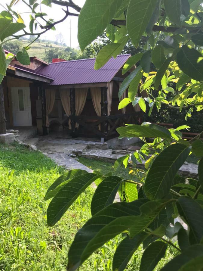 Pid Playem Villa Volovăţ Exterior foto